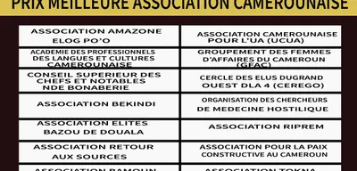 Meilleur Association Camerounaise