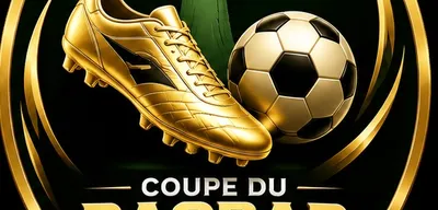 Meilleur buteur