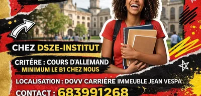 Publicité DSZE-INSTITUT