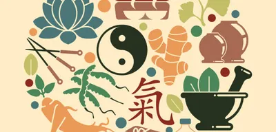 Médecine Traditionnelle Chinoise