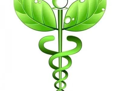 Naturopathe