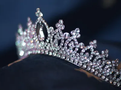 Ms National Unity Cameroon 2026 (19 ans et +)