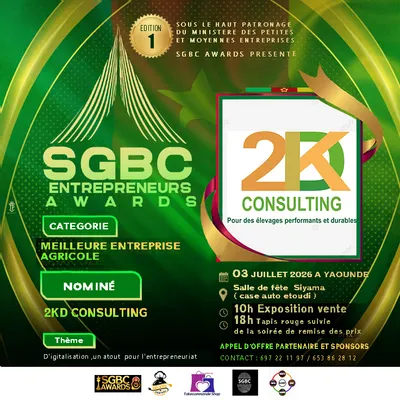 2KD Consulting SARL #1