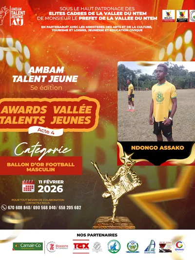 Ndongo Assako Hulrich 