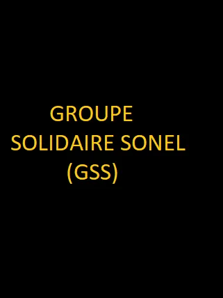 Groupe Solidaire Sonel (GSS)