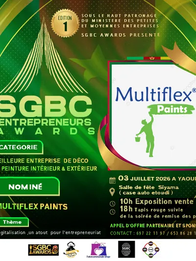 Multiplex Paints 