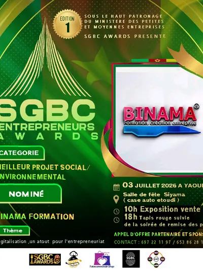 Binama Formation 