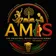 AMIS AWARD