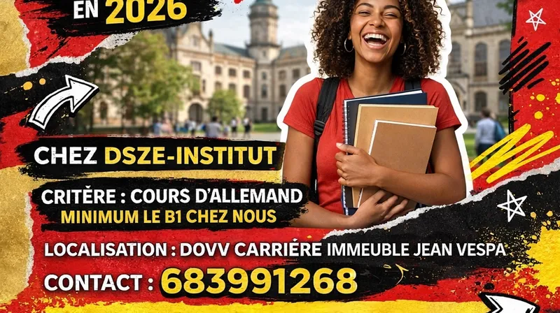Publicité DSZE-INSTITUT