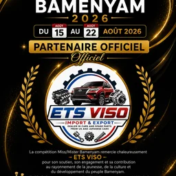 ETS VISO import et export